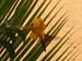 images0008
