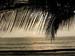 images0037